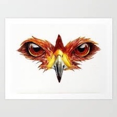 eeze1/hawkeye phanatic.   IG: hawkeeze1