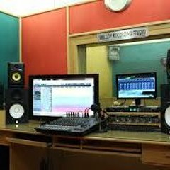 Rashmi, Hindi, Punjabi, English Voice-over artist