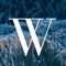 WAVEIDSON