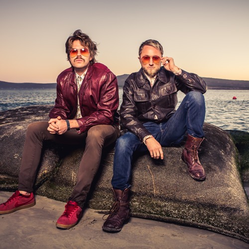 Lectric Licks artist photo