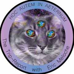 The Trip Report with Eric