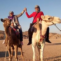 Dr-mahmoud Mohsin