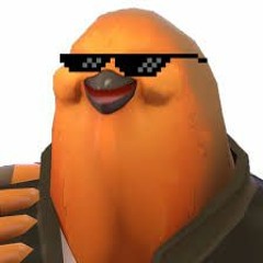 Pootis Mafia