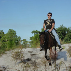 David E. Mitchell, Jr.