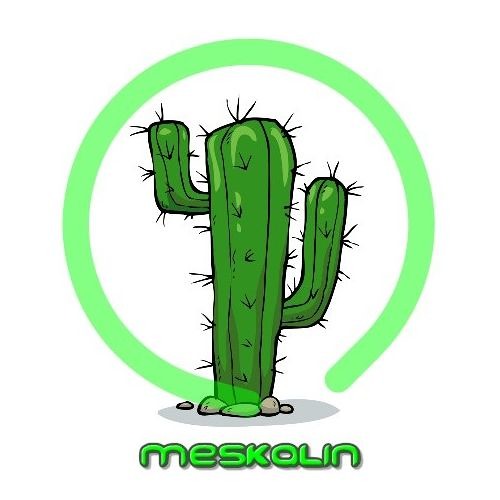 Meskalin’s avatar