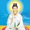 Nguyễn Trần Gia Hưng