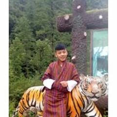 Pema Gaylay