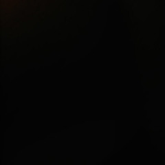 Лапками котик!!!