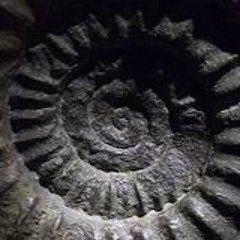 Fossil