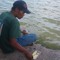merl_isiel