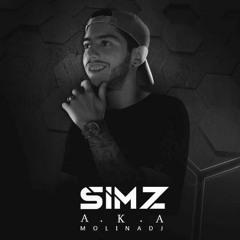 SIMZ