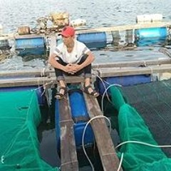 tiên ông đá phò