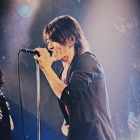 Daizo Project Love Rock S Stream