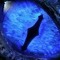 dragon eye