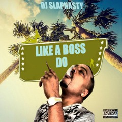 dj slapnasty