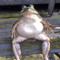 pee.ps_