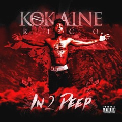 In Yo Section..DFDM NEENO,KOKAINE RICO,YC SCRIL