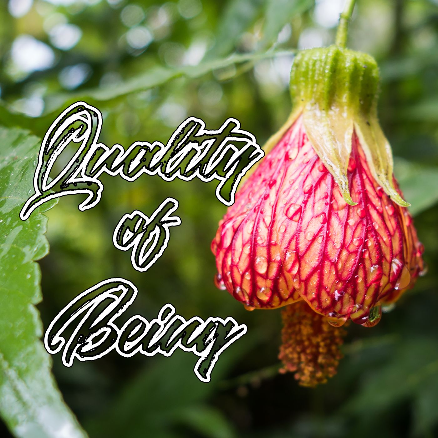 Quality of Being Podcast