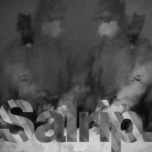 salrip’s avatar
