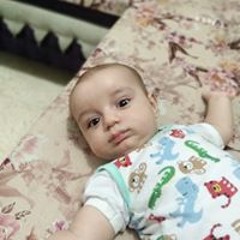 ahmed okasha