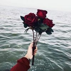 حبيبه الجندي