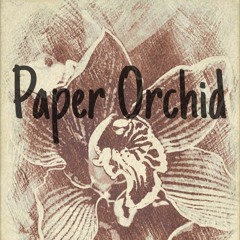 Paper Orchid