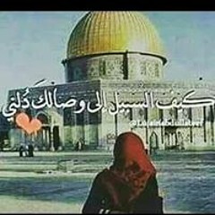 Alaa Elgohary