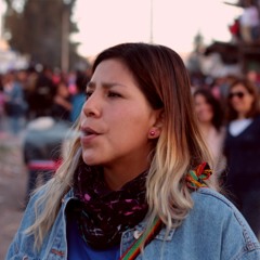 TeFa Tefx