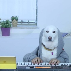 Pinhas (Pini) Grigio