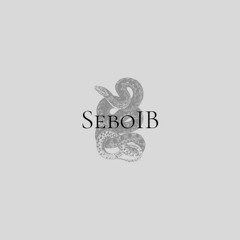 SeboIB