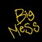 Big Mess