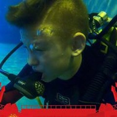 David David