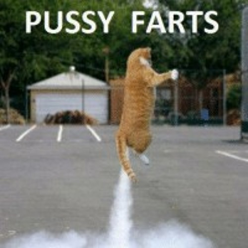 Tabby Fart