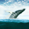 Whale #