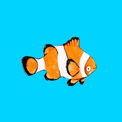 Nemo Got Beats