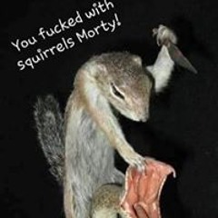 Genocidesquirrel