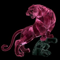 Tobias Swarovski Edits