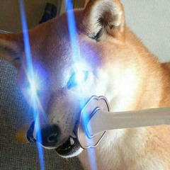 log.exe