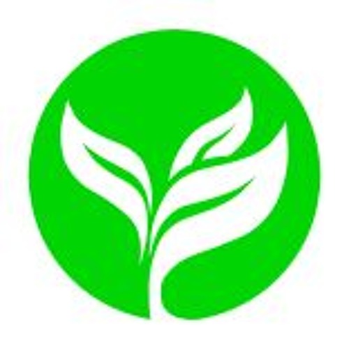 Stream Rural Point Baptist Church music Listen to songs, albums