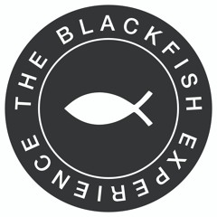 The Blackfish Experience