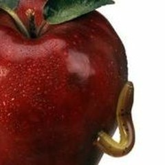 TheAppleandtheWorm