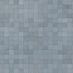 MenaXon