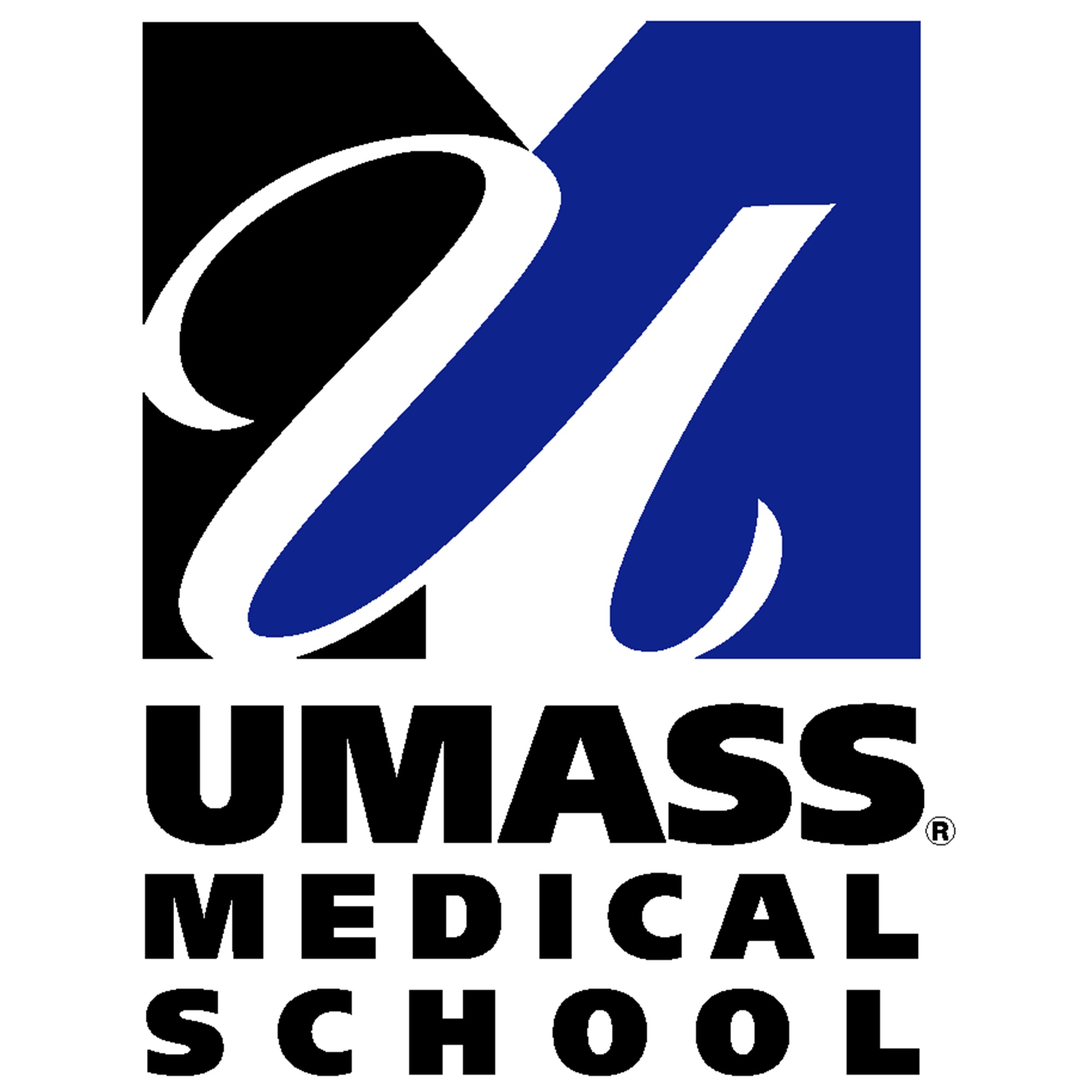 Interstitial UMMS 2019-2020