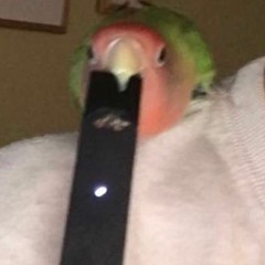 BIRB