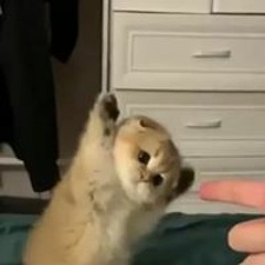 ต้าร์ไง จะใครเล่า