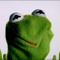 The_Shadow_Kermit