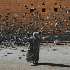 amal homs