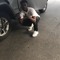 LilDeeSfn