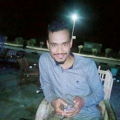 Amr Amro