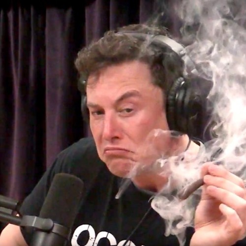 Elon Fuxxs’s avatar